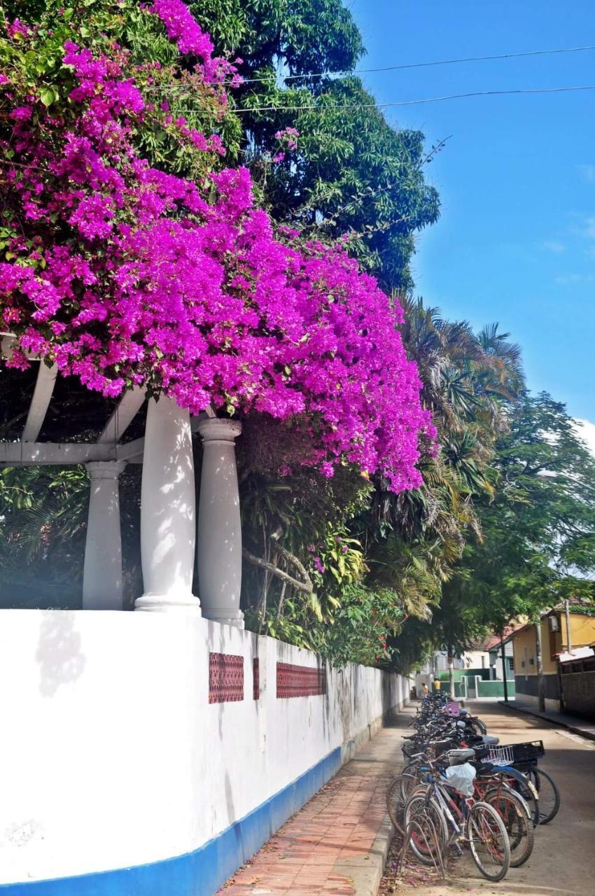 Casa Da Coruja Bed and breakfast *